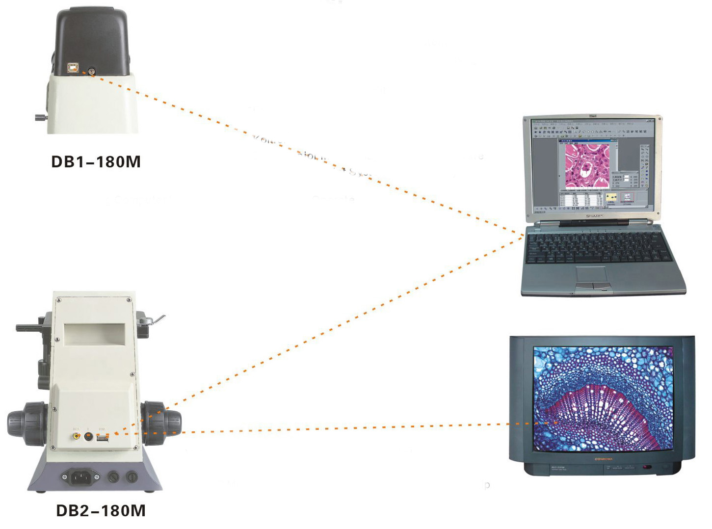 Digital Microscanner digital microscope slit lamp microscope made in china manufacturer